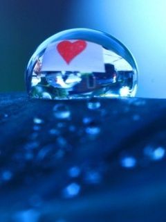 bluelovedr cTLvYKNq