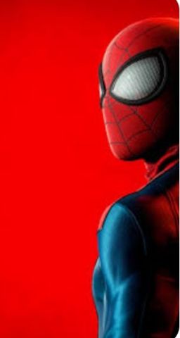 SPIDER MA