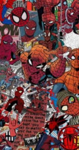SPIDER MA