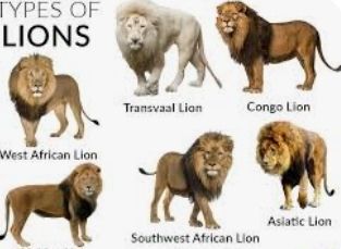 Types of 