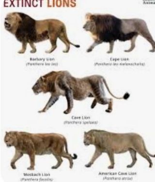 Types of 