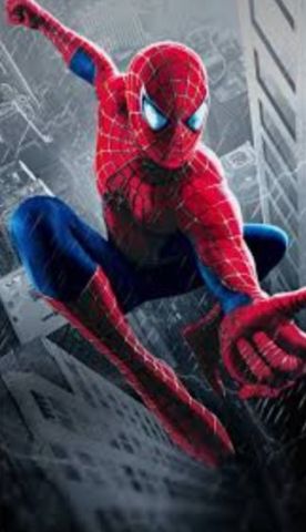 SPIDER MA