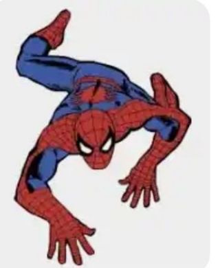 Spider Ma
