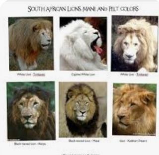 Types of 