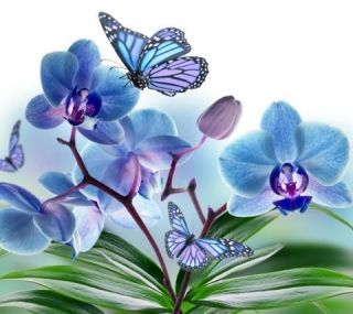 BLUE & GREEN FLOWER