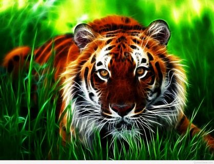 TIGER 2