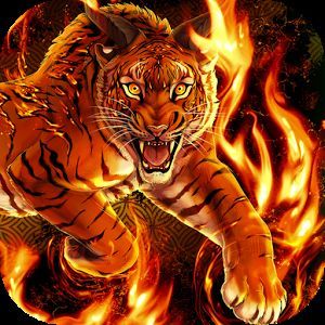 TIGER 6