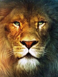 KING LION