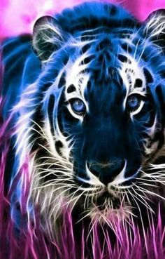 TIGER 3