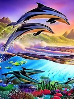 dolphins wallpapers