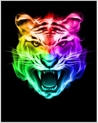 TIGER 4