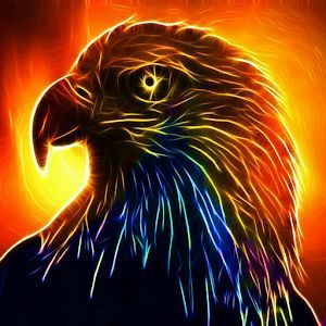rainbow eagle