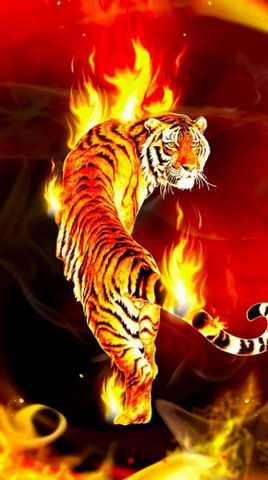 TIGER 7