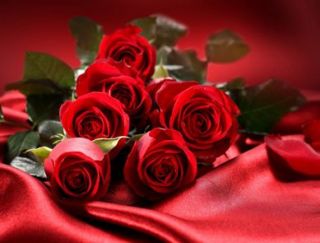 Love And Red Roses