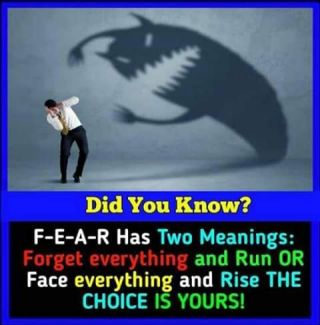 FB IMG 1563722629567