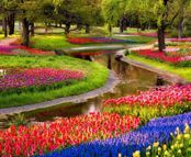 Sunrise Garden