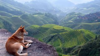 Mountain landscape