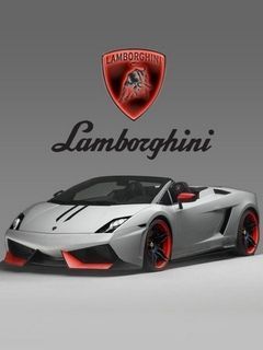 Lamborgini