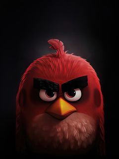 Angry birds