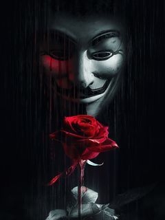 Anonymus rose