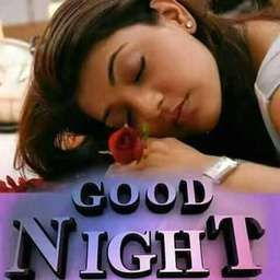 8c980360dfdb7c5cbc7abd6e8d4e6e52