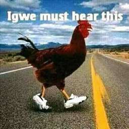 Igwe