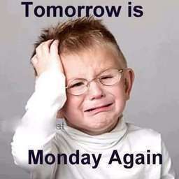 Monday