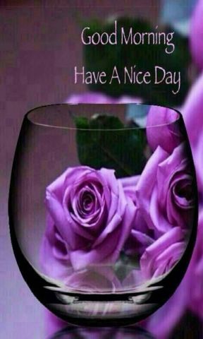 goodmorni