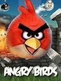 Angry Birds!