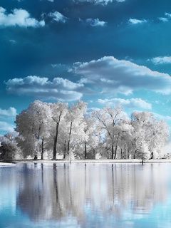 Beatifull