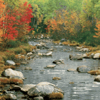 Great River Views
