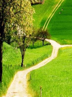 Path