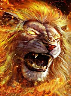 Lion 6
