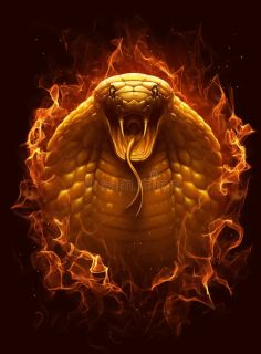 Snake 1