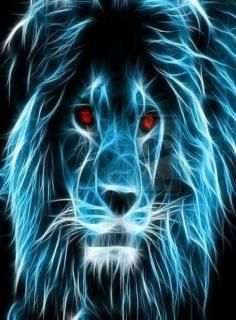 Lion 8