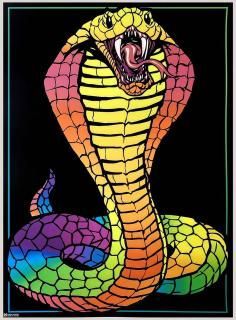 Snake 9