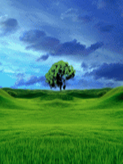 animatedn