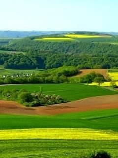 nature mp
