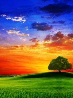 nature 9j