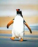 Peaguan