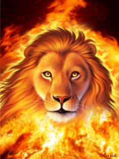 FIRE LION
