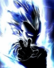 VEGETA
