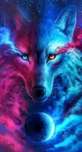 Wild