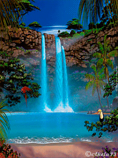paradise a15yxsxw