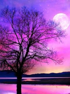 Beautiful wallpaper