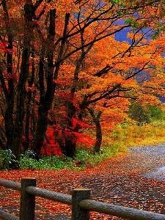 Beautiful wallpaper