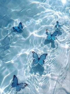 Beautiful wallpaper