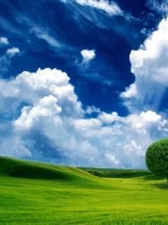 Beautiful landscape wallpaper