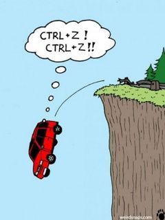 Off-cliff Car Accident