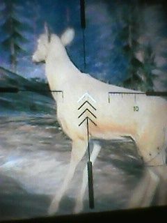 Gta 5 hunting